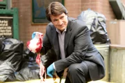 Mark Devereaux (Nathan Fillion)