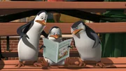 L-R: Kowalski, Private, Skipper