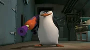 Skipper