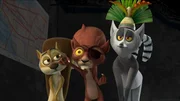 L-R: Fred, Red Squirrel, Julien