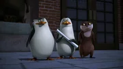 L-R: Skipper, Rico, Marlene