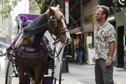 Nick Sax (Christopher Meloni)