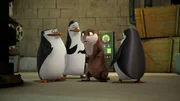 L-R: Skipper, Kowalski, Marlene, Private
