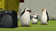 L-R: Skipper, Private, Rico