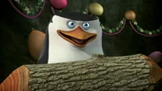 Skipper