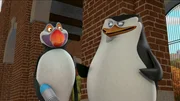 L-R: Hans, Skipper