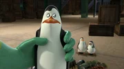 L-R: Kowalski, Rico, Private