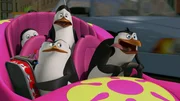 L-R: Private, Skipper, Kowalski, Rico