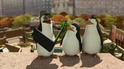 L-R: Kowalski, Private, Rico