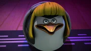 Skipper