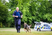 Police dog