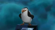 Skipper