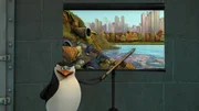 Skipper