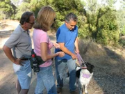 Diana (M.) und Lou (l.) wenden sich hilfesuchend an Cesar Millan (r.): Mix, der Mischling aus Springer Spaniel und Border Collie, hat die unschöne Angewohnheit, auf Spaziergängen wie wild an der Leine zu zerren, sobald er kleine Tiere am Wegesrand sieht.