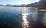 Der Golfstrom hält die Küsten der Lofoten auch im Winter eisfrei.