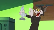 Butch Cat