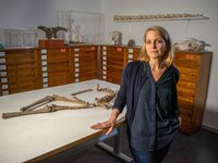 Dr. Anna Kjellstrom zeigt die Überreste der weiblichen Birka-Kriegerin.