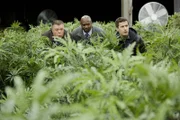 V.l.: Scully (Joel McKinnon Miller), Terry Jeffords (Terry Crews), Jake Peralta (Andy Samberg)