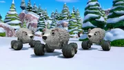 Polar bears