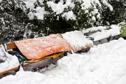 Roost of homeless people in winter