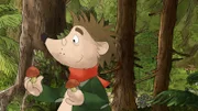 Rupert ist entzückt von den Früchten des Waldes, den Pilzen.