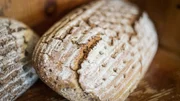 Frischer Laib Brot
