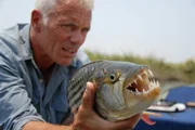 Close up of Jeremy Wade holding Tiger Fish, Okavango River, Botswana.Charlie Bingham (c)