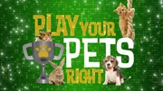 (1. Staffel) - Game of Pets - Artwork