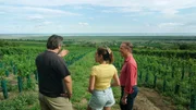 Christian Tschida, Jana Kreilein, Aldo Sohm.