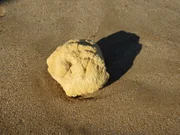 Ambergris, wax-like substance that originates as a secretion in the intestines of the sperm whale, found floating in tropical seas and used in perfume manufacture.