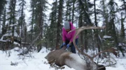 Edna helps with the caribou.