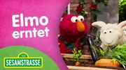 Elmo erntet