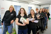 Hier kann sich jeder auf jeden verlassen: das Team im Tierheim Koblenz ist immer einsatzbereit, um Tieren zu helfen.Team v.l.n.r.: Kirstin Höfer, Christiane Zerfass, Alexandra Spahr, Stephanie Schindler, Julia Rabanus, Celina Fuchs und Ruth Fridrichs.