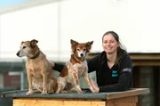 Frische Luft schnuppern mit Tierpflegerin Julia. Das Team Im Tierheim Koblenz ist rund um die Uhr 365 Tage im Jahr für die Tiere da.