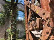 Verrostete Träger und Schalter erinnern noch an den lärmigen Betrieb vergangener Tage. Heute ist es still in der ehemaligen Auto-Fabrik "Isotta Fraschini" in Saronno. Und die Natur holt sich das Gelände zurück.