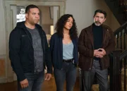 (v.l.n.r.) JT Tarmel (Frank Harts); Dani Powell (Aurora Perrineau); Gil Arroyo (Lou Diamond Phillips)