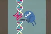 Genfood kommt bei der Mehrheit der Europäerinnen und Europäer nicht auf den Tisch. Daher wartet die Genschere CRISPR/Cas9 in der EU noch auf ihren großen Auftritt, obwohl sie die Pflanzenzüchtung enorm beschleunigen könnte.