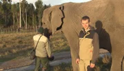 Tierpfleger Patrick Heinrich im Elefantenpark Knysna.