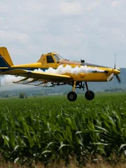 A crop duster plane dusts over a field.