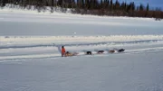 Jody Potts-Joseph beim Mushing mit ihrem Schlitten und ihren Hunden (National Geographic)