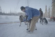 Jody Potts-Joseph spannt ihre Schlittenhunde an ihren Schlitten, damit sie durch das winterliche Gelände fahren kann. (National Geographic/Isaiah Branch Boyle)