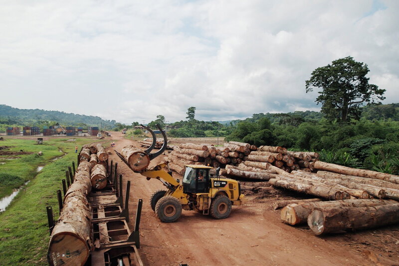Tropenholz fürs Klima – Wie ein afrikanischer Petrostaat den Regenwald retten möchte (CH, 2022)