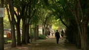 Berlin zu Fuß erkunden. Die schönsten Routen für einen Stadtspaziergang mit vielen Tipps und Entdeckungen. Ob historischer Straßenbahnhof in Köpenick, italienische Pâtisserie in Kreuzberg oder traditionelles Fischlokal in der Spandauer Altstadt - diese Tour quer durch die Stadt ist ein spannender Streifzug durch Berlin, der selbst Einheimische überraschen wird. - Spazieren unter Bäumen.