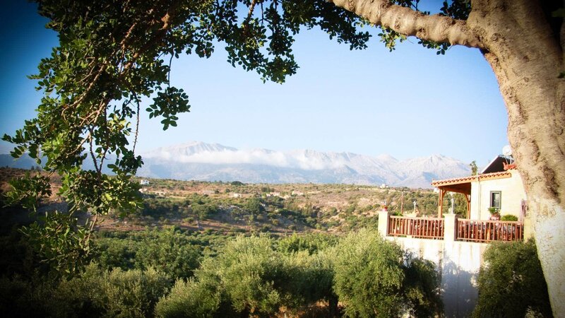 Kreta - Die süßen Früchte des Johannisbrotbaums