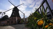 Ein Stadtspaziergang, der selbst waschechte Berlinerinnen und Berliner überraschen wird. Fernsehturm und Siegessäule kennt jeder. Aber den Spreetunnel in Friedrichshagen, die Jungfernmühle in Buckow oder die Villenkolonie in Lichterfelde West sollte man unbedingt einmal kennenlernen. Die „30 Favoriten“ besuchen 30 spannende Orte in der Stadt. - Jungfernmühle in Buckow.