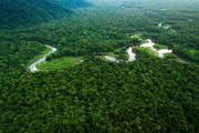 Der Amazonas und seine zahlreichen Zuflüsse bilden das größte Fluss-System der Erde