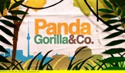 ARD/rbb PANDA, GORILLA & CO. Logo.