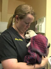 Tiffany cuddles a cold puppy after giving it a bath.