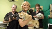 Dr. Terry Wighs, Dr. Dee Thornell and Nicole Legerat in the office holding animals.