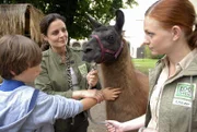 Lama Horst als Therapeut. Dr. Susanne Mertens (Elisabeth Lanz, M.) und ihre Assistentin Anett (Anna Bertheau, r.) hoffen, dass die Begegnung mit dem Tier dem traumatisierten David (Max Schmuckert, l.) helfen wird.